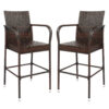 2 Pieces Bar Furniture High Back Rattan Bar Stools